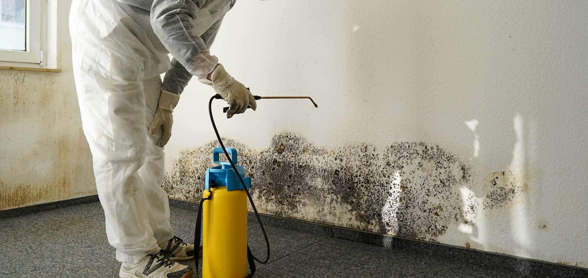 Mold removal London