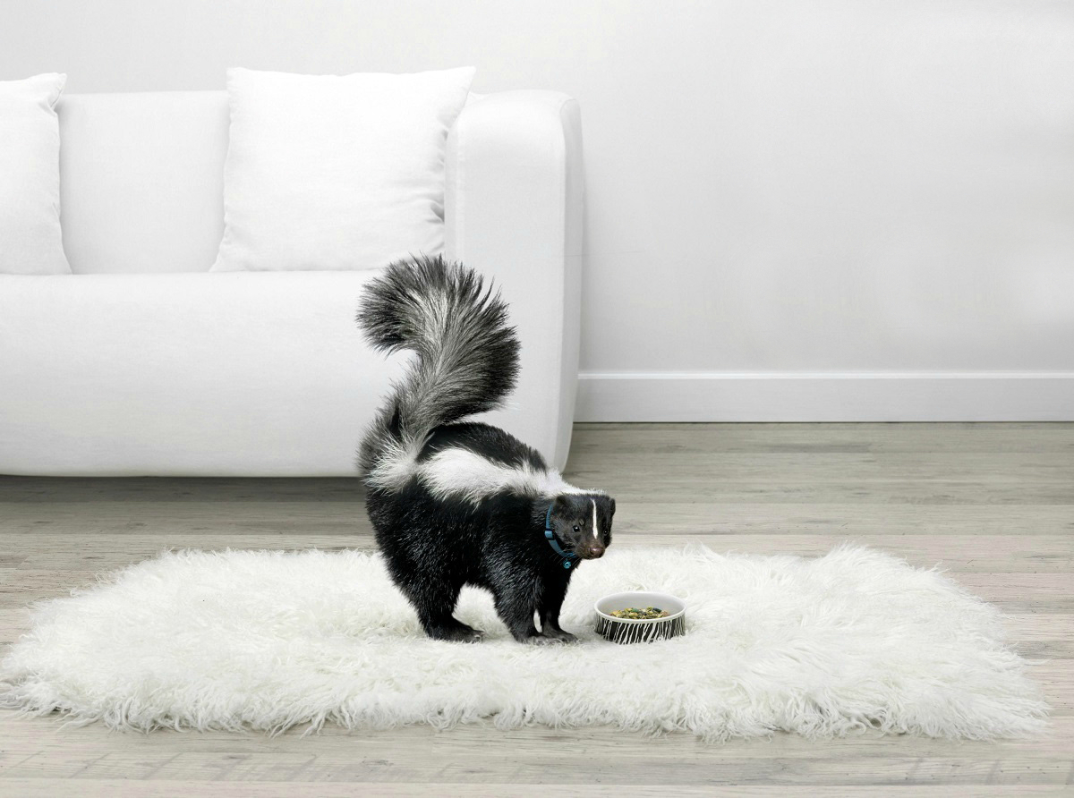 How to Remove Stubborn Smoke Smells from Carpets and Curtains