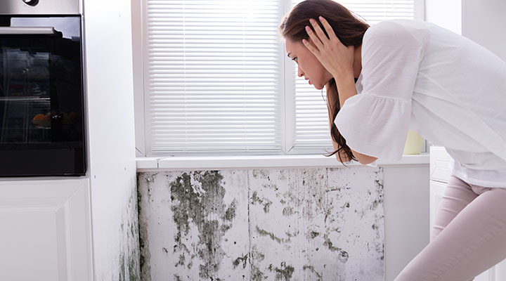The Hidden Dangers of Mold in Your Home and How to Eliminate It