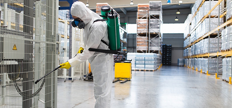 The Role of Ozone in Eco-Friendly Disinfection for Businesses
