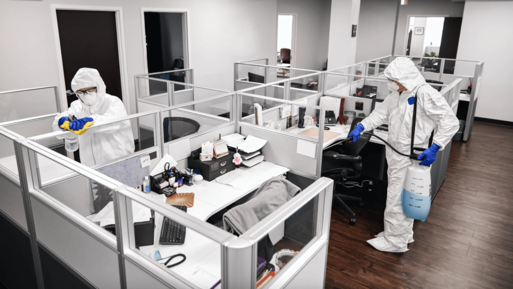 office cleaning